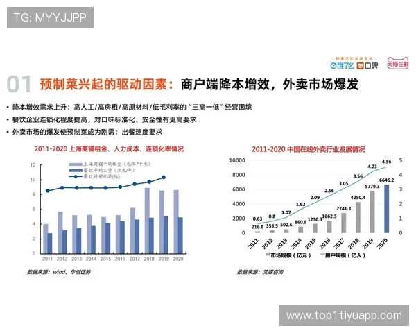 深入了解浩博官网的特色服务与用户体验 深入了解浩博官网的特色服务与用户体验